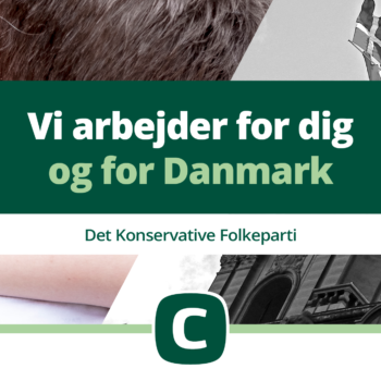 Vi arbejder for dig og for Danmark (2)