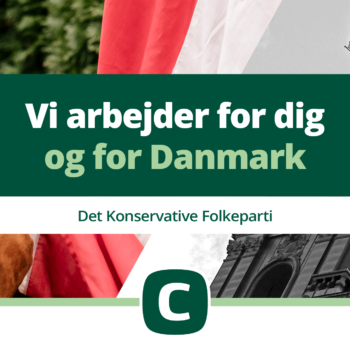 Vi arbejder for dig og for Danmark (5)